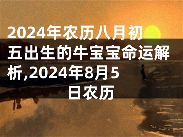 2024年农历八月初五出生的牛宝宝命运解析,2024年8月5日农历