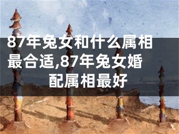 87年兔女和什么属相最合适,87年兔女婚配属相最好