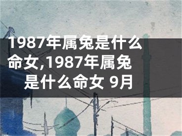 1987年属兔是什么命女,1987年属兔是什么命女 9月