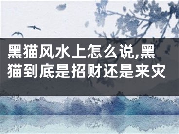 黑猫风水上怎么说,黑猫到底是招财还是来灾