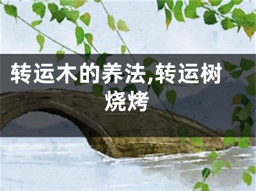 转运木的养法,转运树烧烤