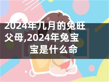 2024年几月的兔旺父母,2024年兔宝宝是什么命