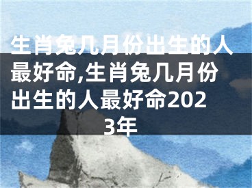 生肖兔几月份出生的人最好命,生肖兔几月份出生的人最好命2023年