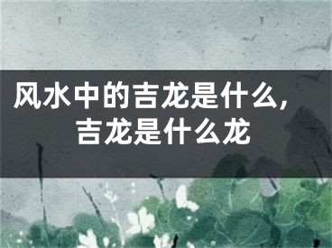 风水中的吉龙是什么,吉龙是什么龙