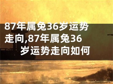 87年属兔36岁运势走向,87年属兔36岁运势走向如何