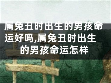 属兔丑时出生的男孩命运好吗,属兔丑时出生的男孩命运怎样