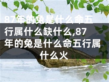 87年的兔是什么命五行属什么缺什么,87年的兔是什么命五行属什么火