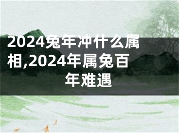 2024兔年冲什么属相,2024年属兔百年难遇