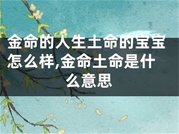金命的人生土命的宝宝怎么样,金命土命是什么意思