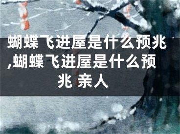 蝴蝶飞进屋是什么预兆,蝴蝶飞进屋是什么预兆 亲人