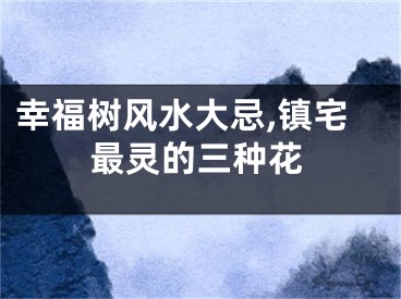 幸福树风水大忌,镇宅最灵的三种花