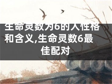 生命灵数为6的人性格和含义,生命灵数6最佳配对