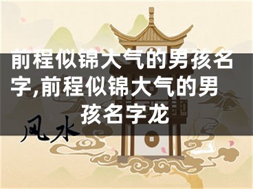 前程似锦大气的男孩名字,前程似锦大气的男孩名字龙