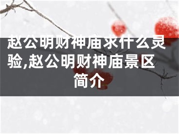 赵公明财神庙求什么灵验,赵公明财神庙景区简介