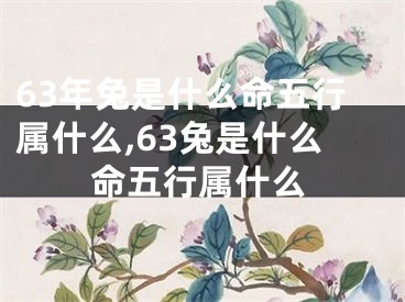 63年兔是什么命五行属什么,63兔是什么命五行属什么
