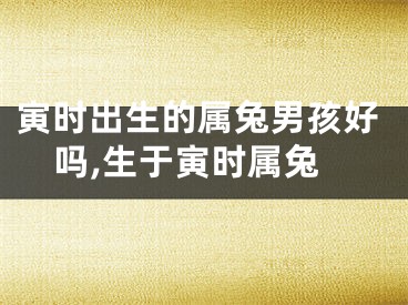 寅时出生的属兔男孩好吗,生于寅时属兔