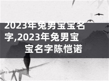 2023年兔男宝宝名字,2023年兔男宝宝名字陈恺诺