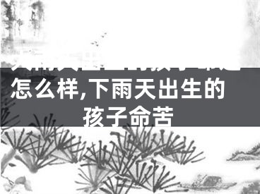 大雨天出生的孩子命运怎么样,下雨天出生的孩子命苦