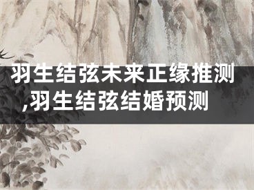 羽生结弦未来正缘推测,羽生结弦结婚预测