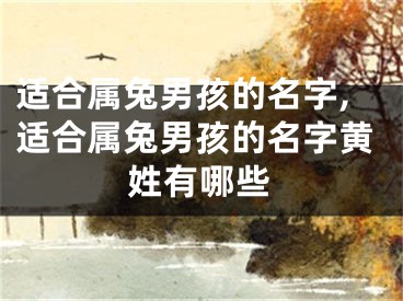 适合属兔男孩的名字,适合属兔男孩的名字黄姓有哪些