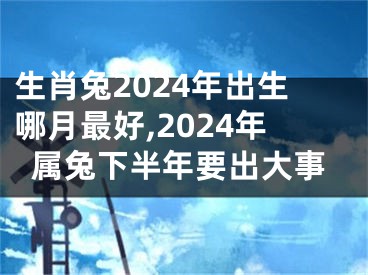 生肖兔2024年出生哪月最好,2024年属兔下半年要出大事