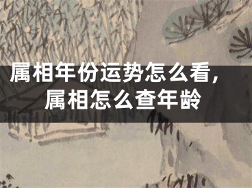 属相年份运势怎么看,属相怎么查年龄