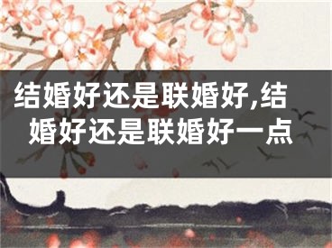 结婚好还是联婚好,结婚好还是联婚好一点
