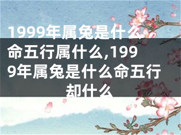 1999年属兔是什么命五行属什么,1999年属兔是什么命五行却什么