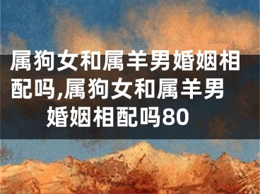 属狗女和属羊男婚姻相配吗,属狗女和属羊男婚姻相配吗80
