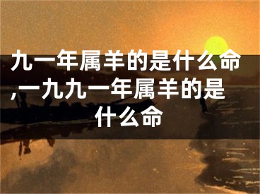 九一年属羊的是什么命,一九九一年属羊的是什么命