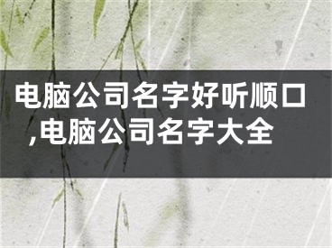 电脑公司名字好听顺口,电脑公司名字大全