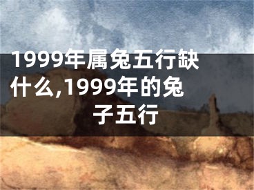 1999年属兔五行缺什么,1999年的兔子五行