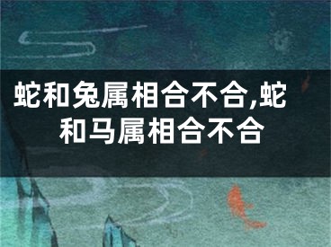 蛇和兔属相合不合,蛇和马属相合不合