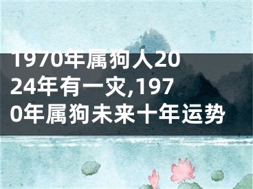1970年属狗人2024年有一灾,1970年属狗未来十年运势