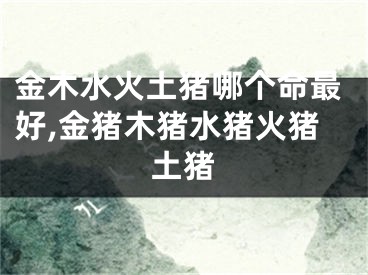 金木水火土猪哪个命最好,金猪木猪水猪火猪土猪