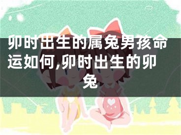 卯时出生的属兔男孩命运如何,卯时出生的卯兔