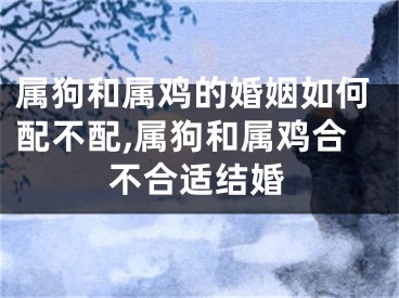 属狗和属鸡的婚姻如何配不配,属狗和属鸡合不合适结婚