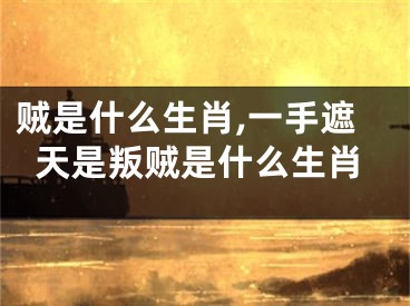 贼是什么生肖,一手遮天是叛贼是什么生肖