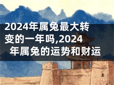 2024年属兔最大转变的一年吗,2024年属兔的运势和财运