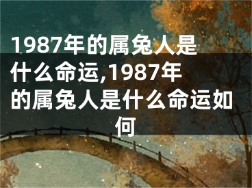 1987年的属兔人是什么命运,1987年的属兔人是什么命运如何