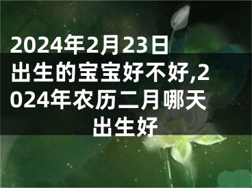 2024年2月23日出生的宝宝好不好,2024年农历二月哪天出生好