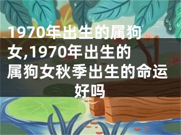 1970年出生的属狗女,1970年出生的属狗女秋季出生的命运好吗