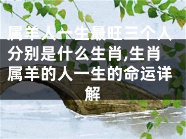 属羊人一生最旺三个人分别是什么生肖,生肖属羊的人一生的命运详解