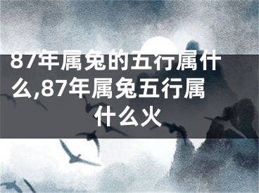 87年属兔的五行属什么,87年属兔五行属什么火