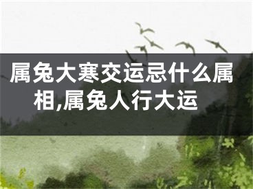 属兔大寒交运忌什么属相,属兔人行大运