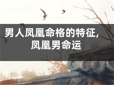 男人凤凰命格的特征,凤凰男命运