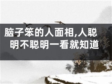 脑子笨的人面相,人聪明不聪明一看就知道