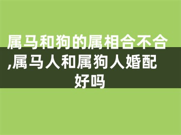属马和狗的属相合不合,属马人和属狗人婚配好吗