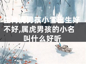 生肖虎男孩小雪出生好不好,属虎男孩的小名叫什么好听