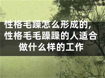 性格毛躁怎么形成的,性格毛毛躁躁的人适合做什么样的工作